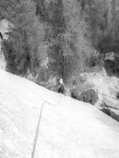 [thumbnail of Picture 16]