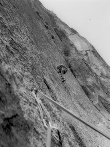 ImageImage1106.web.jpg
