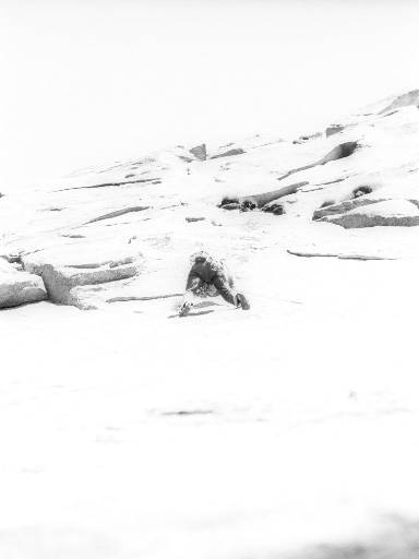 [thumbnail of Picture 7]