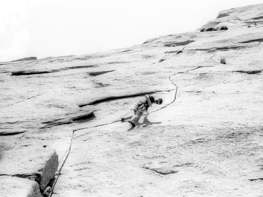ImageImage1171.web.jpg