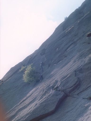 ImageImage1172.web.jpg