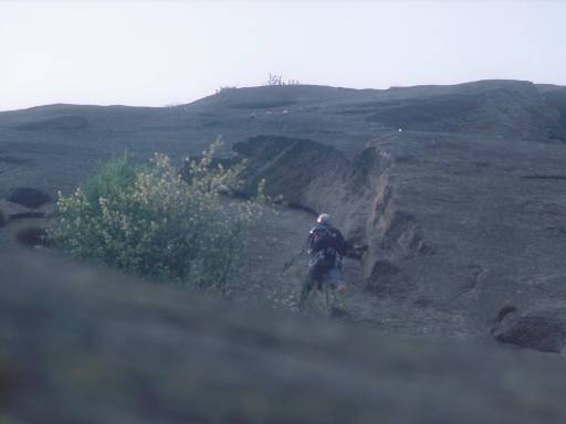 [thumbnail of Picture 2]