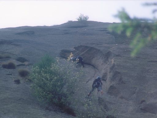 ImageImage1175.web.jpg