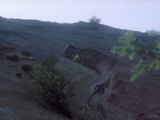 [thumbnail of Picture 5]