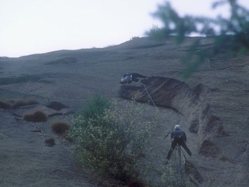 ImageImage1183.web.jpg