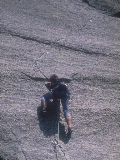 ImageImage1188.web.jpg