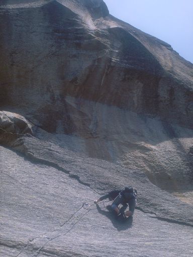ImageImage1191.web.jpg