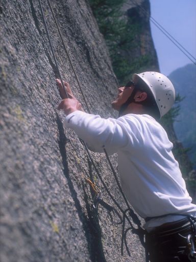ImageImage1193.web.jpg