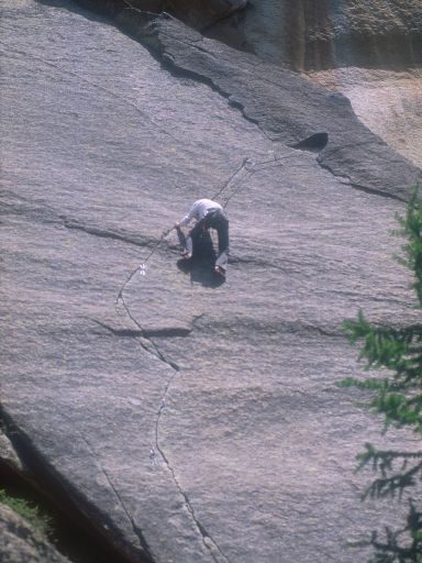 ImageImage1195.web.jpg