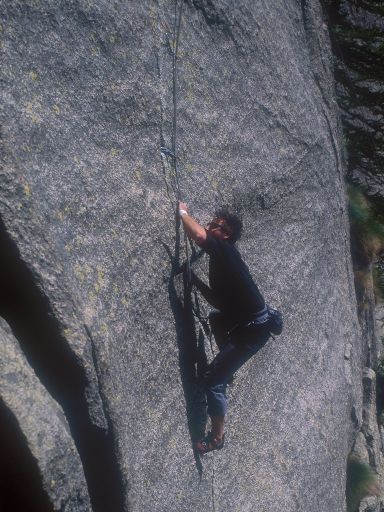 ImageImage1197.web.jpg