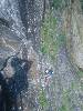 [thumbnail of Picture 1]