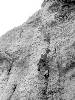 [thumbnail of Picture 3]