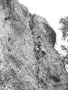 [thumbnail of Picture 4]