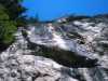 [thumbnail of Picture 1]