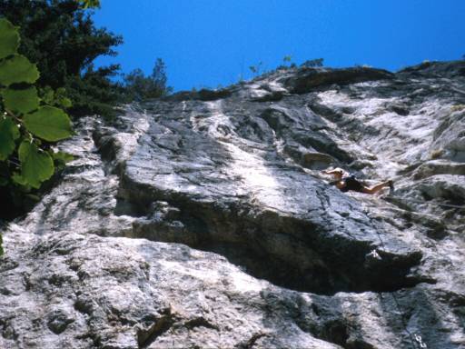 Image22.web.jpg