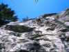 [thumbnail of Picture 2]