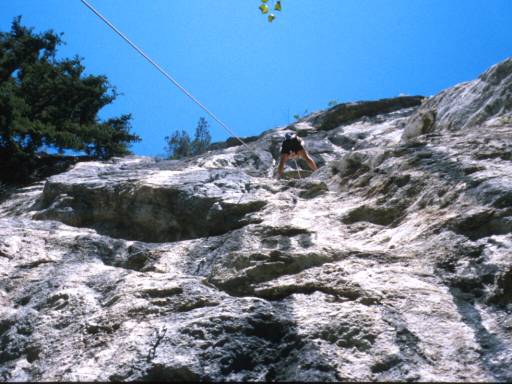 Image23.web.jpg