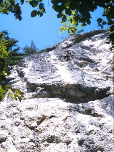 Image24.web.jpg
