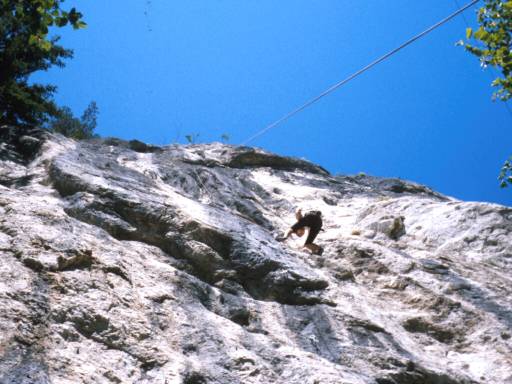 Image25.web.jpg