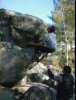 [thumbnail of Picture 10]