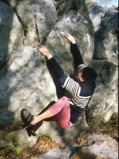 Image11.web.jpg