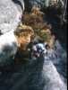 [thumbnail of Picture 24]