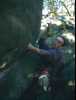 [thumbnail of Picture 4]