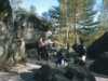 [thumbnail of Picture 8]
