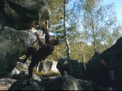 Image9.web.jpg