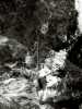 [thumbnail of Picture 2]