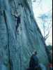 [thumbnail of Picture 1]