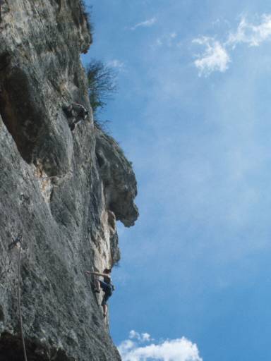 Image11.web.jpg