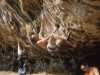 [thumbnail of Picture 15]