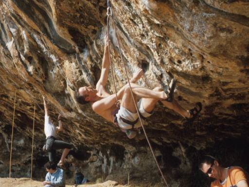 Image15.web.jpg
