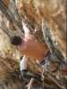 [thumbnail of Picture 16]