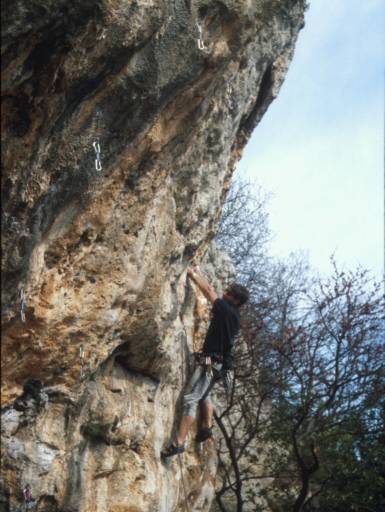 Image18.web.jpg