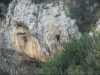 [thumbnail of Picture 21]