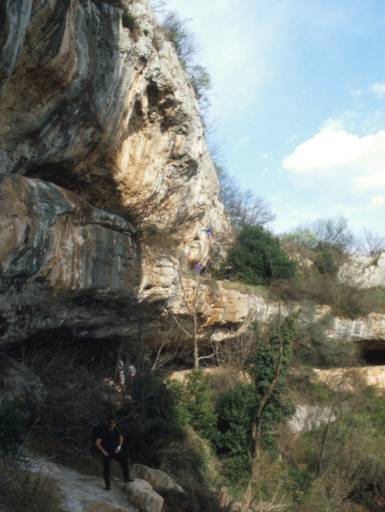 Image24.web.jpg