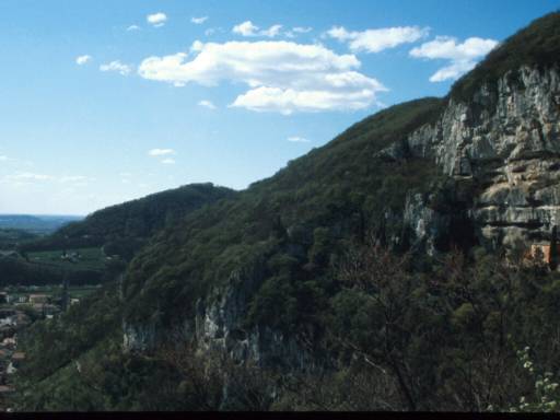 Image4.web.jpg