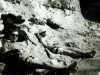 [thumbnail of Picture 1]