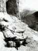 [thumbnail of Picture 2]