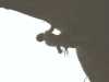[thumbnail of Picture 4]