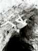 [thumbnail of Picture 6]