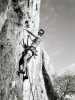 [thumbnail of Picture 10]