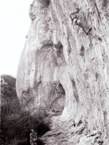 Image28.web.jpg