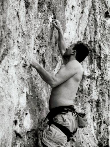 Image31.web.jpg