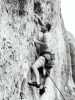 [thumbnail of Picture 16]