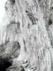 [thumbnail of Picture 18]