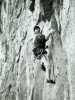 [thumbnail of Picture 19]