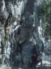 [thumbnail of Picture 1]